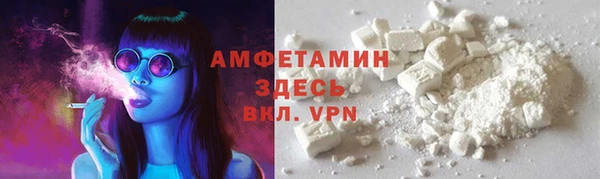 индика Богородск