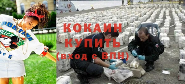 индика Богородск