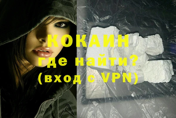 индика Богородск