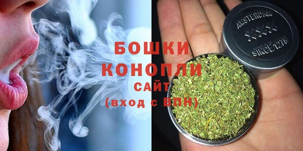 PSILOCYBIN Богданович
