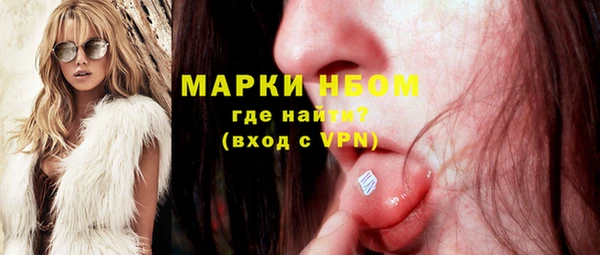 индика Богородск