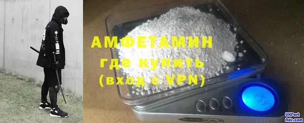 индика Богородск